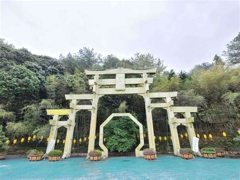 仙佛寺|南投景點》禪機山仙佛寺．隱身南投國姓~處處充滿驚。